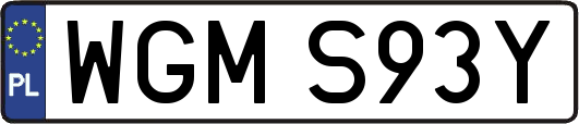WGMS93Y