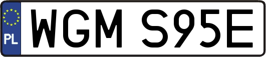 WGMS95E