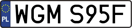 WGMS95F