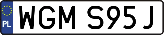 WGMS95J