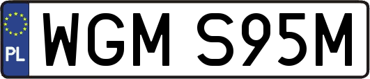 WGMS95M