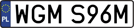 WGMS96M
