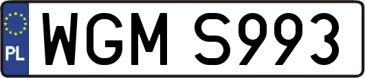 WGMS993