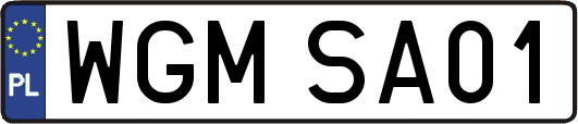 WGMSA01