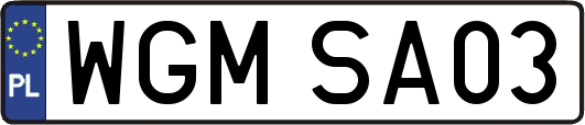 WGMSA03