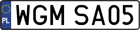 WGMSA05