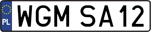 WGMSA12