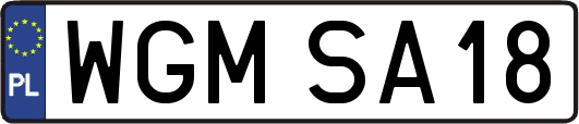 WGMSA18