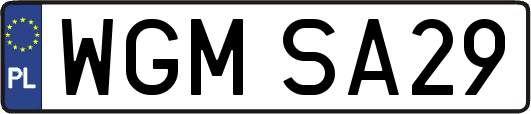 WGMSA29