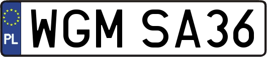 WGMSA36