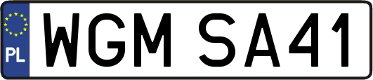 WGMSA41