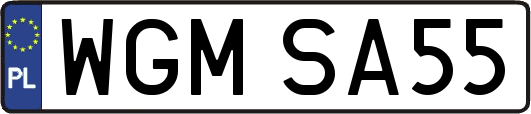 WGMSA55