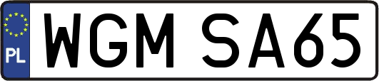 WGMSA65