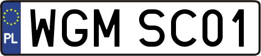 WGMSC01