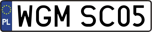 WGMSC05
