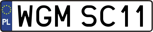WGMSC11