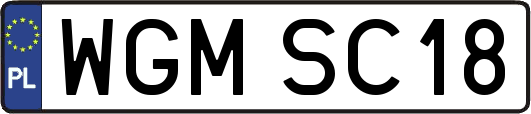 WGMSC18