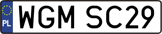 WGMSC29