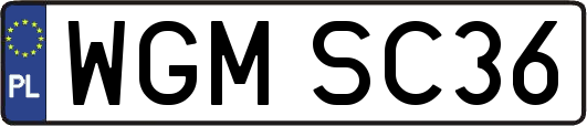 WGMSC36