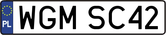 WGMSC42