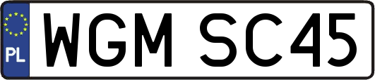 WGMSC45