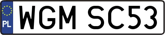 WGMSC53