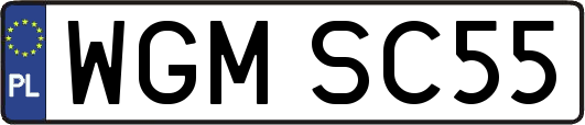 WGMSC55