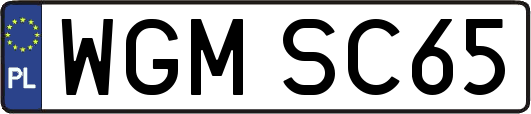 WGMSC65