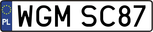 WGMSC87