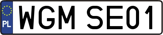 WGMSE01