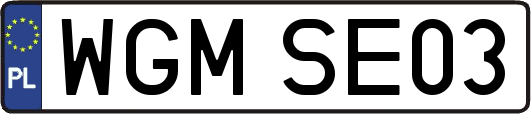 WGMSE03
