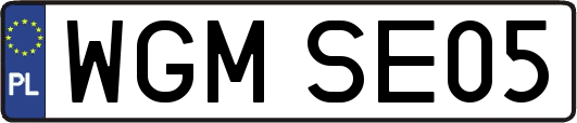 WGMSE05