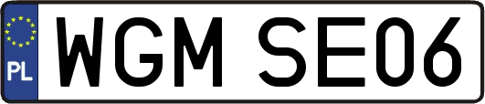 WGMSE06