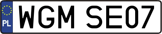 WGMSE07