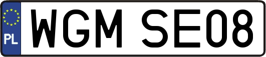 WGMSE08