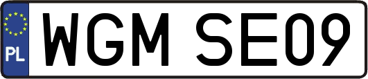 WGMSE09