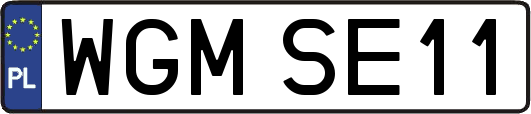 WGMSE11