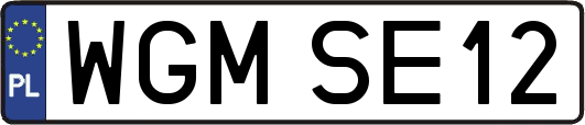 WGMSE12
