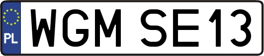 WGMSE13