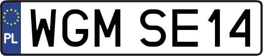 WGMSE14