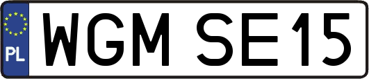 WGMSE15
