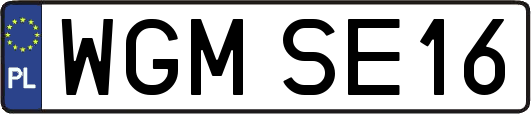 WGMSE16