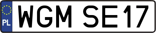 WGMSE17