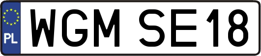 WGMSE18