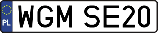 WGMSE20