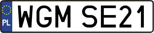 WGMSE21