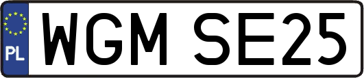WGMSE25