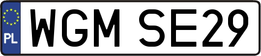 WGMSE29