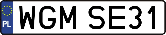 WGMSE31