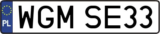 WGMSE33
